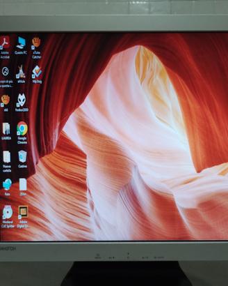 Monitor Samtron (Samsung) 19"