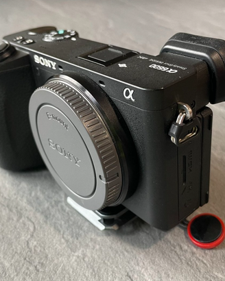 Sony A6600 - 10374 scatti