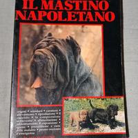 Il Mastino Napoletano / Guido Vandoni