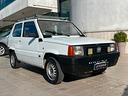 fiat-panda-1-1-young