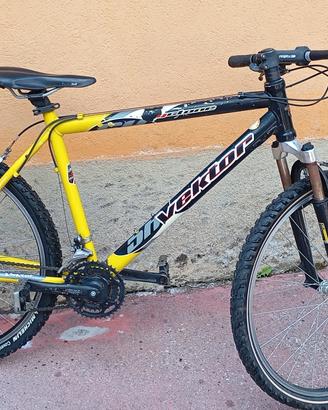 bicicletta 