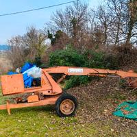 Carica letame , ragno .