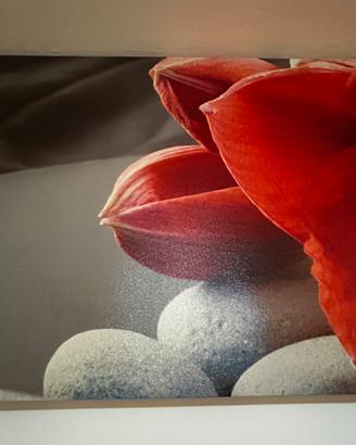 Quadro moderno fiore amaryllis rosso tela