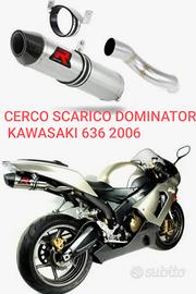 dominator per Kawasaki 636 2006