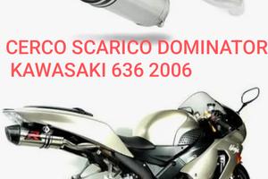 dominator per Kawasaki 636 2006