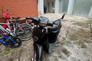 Aprilia Scarabeo 50