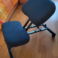Sedia ergonomica 