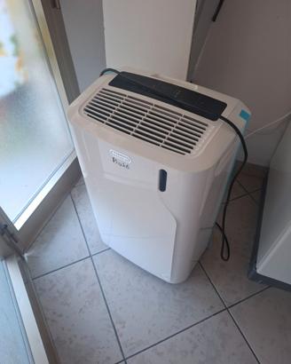 Pinguino de longhi