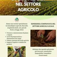 Agricoltura