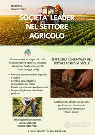 Agricoltura