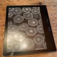 Kindle Oasis 10 luce calda