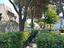 Immagine 19