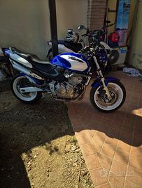 Honda hornet