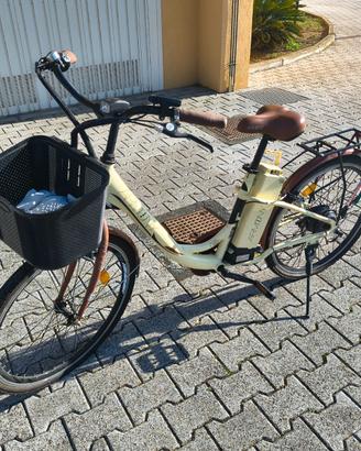 Bicicletta elettrica