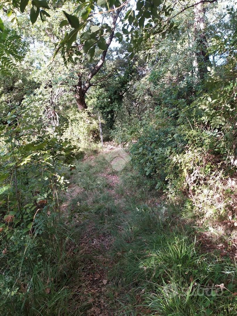 TER. AGRICOLO A MUGGIA - Altro