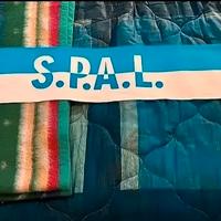 Sciarpa raso spal