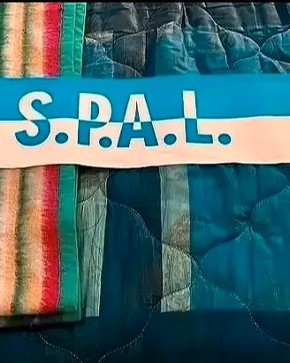 Sciarpa raso spal