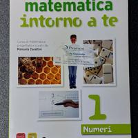 Matematica intorno a te 1 Numeri 9788842416104