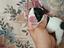 Immagine 11
