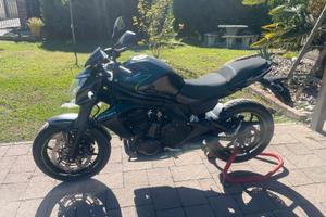 Kawasaki ER-6N