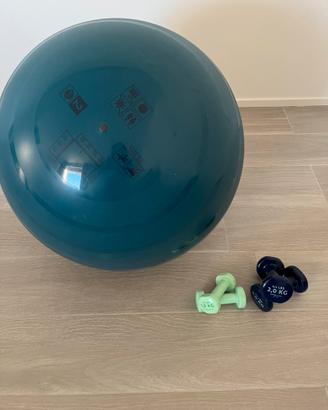 Set palestra