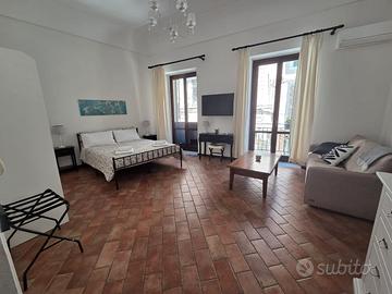 Luminoso bilocale arredato zona Piazza Sant'Anna