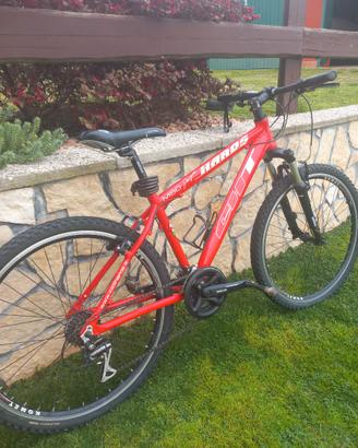 Mountbike