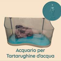 Acquario per Tartarughine d'acqua 