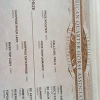 Cavalla Quarter horse