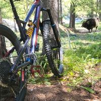 Nukeproof mega carbon con upgrade