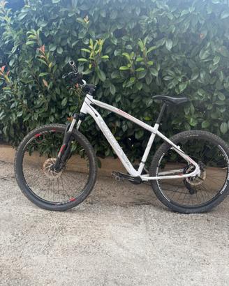 Mountain bike Orbea serie MX