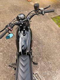 Honda Dominator scrambler