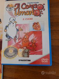 Enciclopedia ,dvd,scheletro