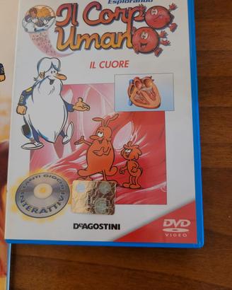 Enciclopedia ,dvd,scheletro