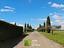 Immagine 24