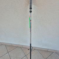 canna da pesca bolognese 5mt 