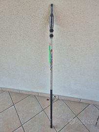 canna da pesca bolognese 5mt 
