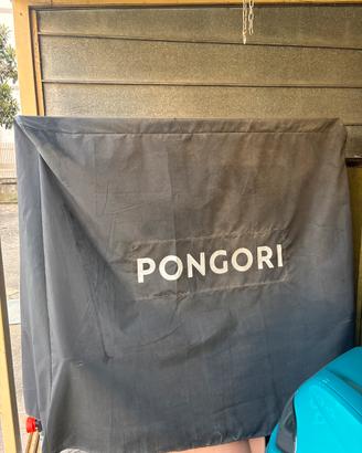 Ping pong pongori