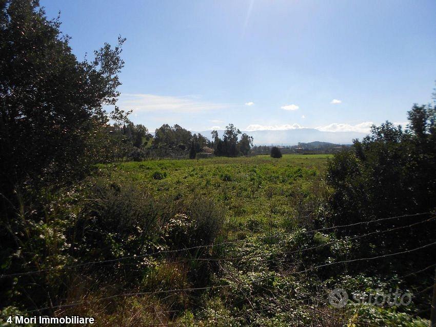 Terreno Loc. Funtana Marzu mq. 10000 - Vista 5