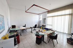 OSTE - FONDO COMMERCIALE CON CANNA FUMARIA