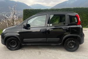 Panda hybrid