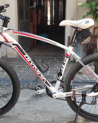 mtb  da uomo Olympia 