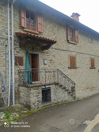 Porzione di terratetto con giardino a Montemignaio