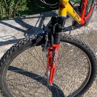 MTB Sintesi telaio Verlicchi
