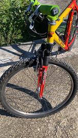 MTB Sintesi telaio Verlicchi