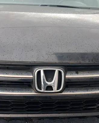 Mascherina anteriore Honda CR-V anno 2012
