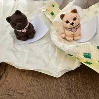 coppia gatto thun edizione limita 2026 moro