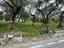Immagine 27