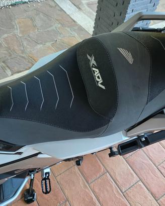 XADV 2025  Sella imbottita Giorgio Pisano