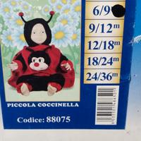 vestito da carnevale 